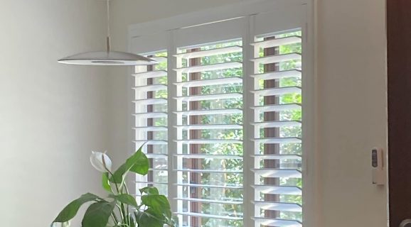 White Plantation Blinds with a Plant — Blinds, Shutters & Awnings in Wyee, NSW