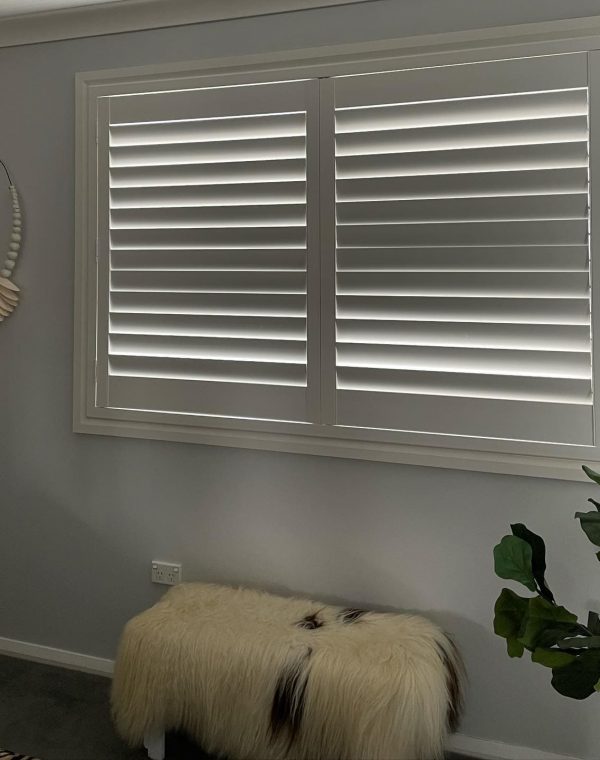 White Plantation Shutters with a Plant — Blinds, Shutters & Awnings in Wyee, NSW